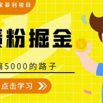 全网2022独家暴利项目，负债粉掘金，日搞5000的路子