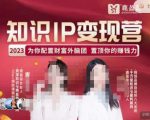 知乎蓝海玩法，躺平副业月入1W+，真正的睡后收入项目（6节视频课）