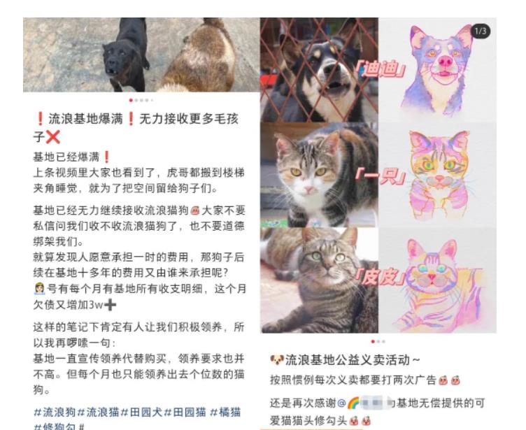 小红书蓝海类赛道：小动物打赏与购买变现副业项目，一条龙玩法分享[/erphpdown]给你！