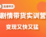 抖音千川进阶课【核心版】，​千川投流高阶课，新手小白也可以快速学会千川投流