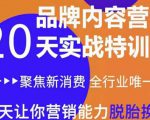 十万个富翁修炼宝典之6.兼职粉派单玩法跑匿名信，爆了一天两千