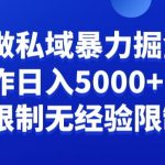 负债粉私域暴力掘金，小白操作入5000，无经验限制，无条件限制【揭秘】
