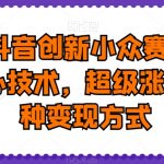 2024抖音创新小众赛道上热门核心技术，超级涨粉，多种变现方式【揭秘】