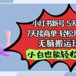 小红书影视泥巴追剧5天涨千粉，7天接商单，轻松月入过万，无脑搬运玩法【揭秘】