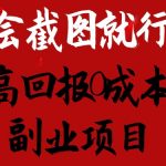 会截图就行，高回报0成本副业项目，卖离婚模板一天1.5k+【揭秘】