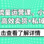小红书流量运营课，小红书搞流量+高效卖货+私域转化