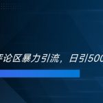 双十一电商评论区暴力引流，日引500+精准创业粉【揭秘】