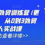 AI闪电做外贸训练营(更新25年1月)，从0到3外贸万人实战课