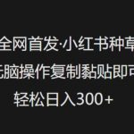 全网首发，小红书种草无脑操作，复制黏贴即可，轻松日入3张