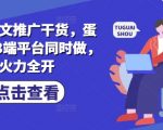 小说推文推广干货，蛋花小说3端平台同时做，火力全开