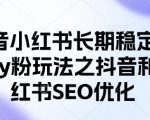 抖音小红书长期稳定引流cy粉玩法之抖音和小红书SEO优化
