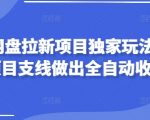 2025网盘拉新项目独家玩法，靠主项目支线做出全自动收益