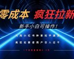 暴疯团队VIP赚钱项目教程之（SEO实操课程之网赚博客）