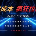 暴疯团队VIP赚钱项目教程之（SEO实操课程之网赚博客）