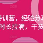 拼多多特训营，经验分享实操，课程时长拉满，干货拉满(更新25年4月)