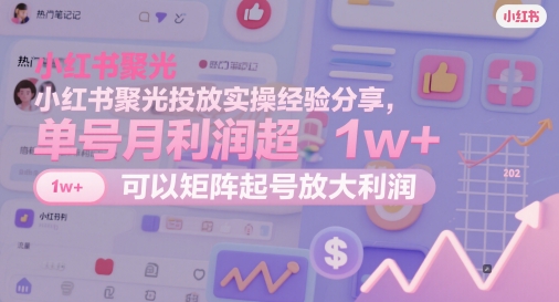 小红书聚光投放实操经验分享[/erphpdown]，单号月利润超1w+，可以矩阵起号放大利润