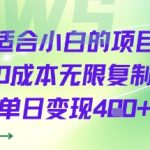 适合小白的项目0成本无限复制单日变现4张+
