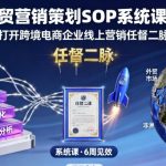 外贸营销策划SOP系统课程，打开跨境电商企业线上营销任督二脉