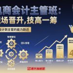 电商会计主管班，职场晋升，技高一筹