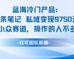 蓝海项目：16条笔记私域变现9750米小众赛道操作的人不多