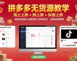 拼多多无货源教学，淘上拼+拼上拼+抖上拼，精细化蓝海+运营进阶+终极玩法，全套运营教程