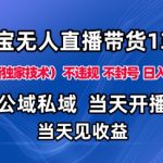 淘宝无人直播13.0，公域私域技术，不封号，不违规布局下半年旺季赛道，日入1K+（独家技术）【揭秘】