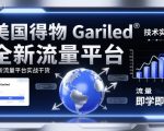 美国得物Gariled技术实战，全新流量平台​实战干货，即学即用