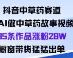 抖音中草药赛道，用Al做中草药故事视频95条作品涨粉28W，橱窗带货猛出单