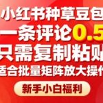 《月躺赚2W+项目-带你过肥年》共5节视频（附源码）价值3298元