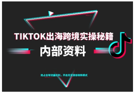 TikTok跨境电商0-1搭建运营,TK出海跨境实操秘籍(10月更新)
