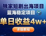 全网独家短剧出海掘金，蓝海红利，单日最高收益5w+，别卷国内了【揭秘】