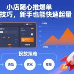 小店随心推爆单投放技巧，新手也能快速起量