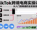 TikTok跨境电商实操课，从入门到精通的全实操流程