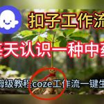 Coze扣子工作流一键生成每天认识一种中药短视频，保姆级搭建教学