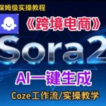 Sora2生成《跨境电商》英文短视频，实操搭建教学课，通俗易懂，包教包会