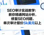 SEO审计实战教学：教你精通网站分析，修复SEO问题，单次审计报价5k美元以上