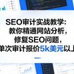 SEO审计实战教学：教你精通网站分析，修复SEO问题，单次审计报价5k美元以上