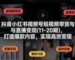 抖音小红书视频号短视频带货与直播变现(10-20期)，打造爆款内容，实现高效变现（更新）