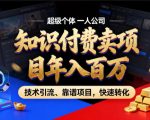 2026年卖项目年入百个W，AI智能体个人IP-精准引流-稳定项目-转化成交【揭秘】