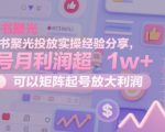小红书聚光投放实操经验分享，单号月利润超1w+，可以矩阵起号放大利润