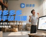 拼多多新手破局课，拼多多运营从0到1实操全流程，新手做电商必看