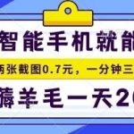 手机项目，二十秒一单，纯薅羊毛一天2张+做就有【揭秘】