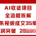 AI收徒项目全流程拆解一条视频成交35单日利润突破1k+