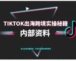 TikTok跨境电商0-1搭建运营,TK出海跨境实操秘籍(10月更新) TikTok跨境电商0-1搭建运营,TK出海跨境实操秘籍(10月更新)
