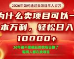 一单净利润1K+，26年想年入100个W，死磕卖项目就够了【揭秘】