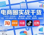 电商圈实战干货（2023-2026年），覆盖淘系、拼多多、抖音、小红书等多平台，助力电商人避开坑、提效率、稳盈利（更新4月）