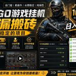 CSGO游戏搬砖，全自动挂G，不需要玩游戏，手机操作日入300+，解放双手【揭秘】