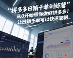 拼多多日销千单训练营，从0开始带你做好拼多多，让日销千单可以快速复制(更新26年4月)