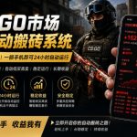 24小时自动监控CS饰品市场，手机即可完成全部操作实现自动搬砖盈利，日入300+【揭秘】