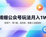 精细公众号玩法月入1W，轻资产、零门槛、低风险，普通人也能复制【揭秘】